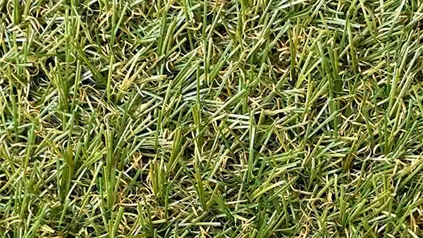 Muestra de pasto sintético Bay