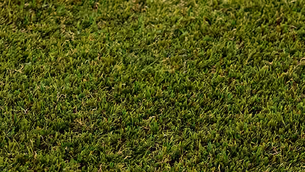 Muestra de pasto sintético Emerald